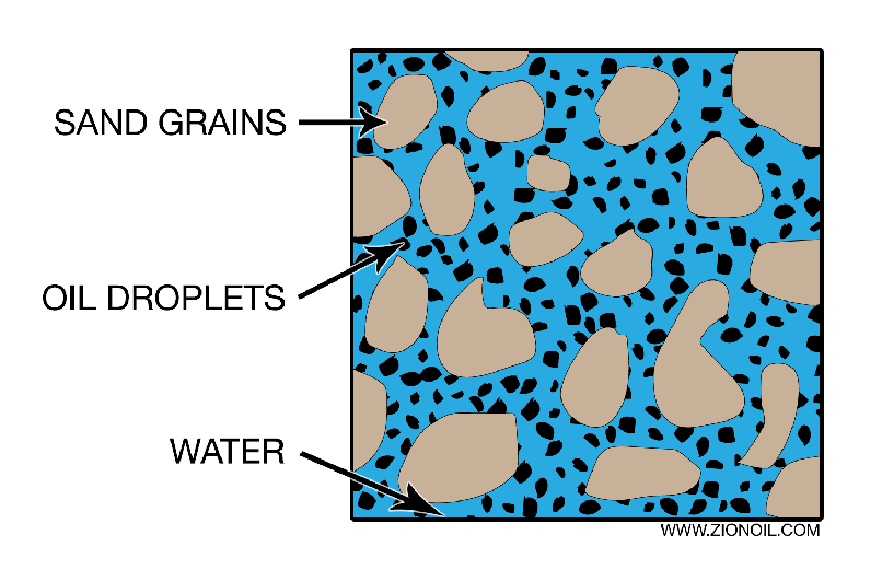 How oil is formed